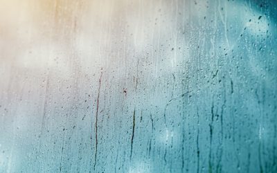 Beat the Heat: Staying Safe in Texas Humidity